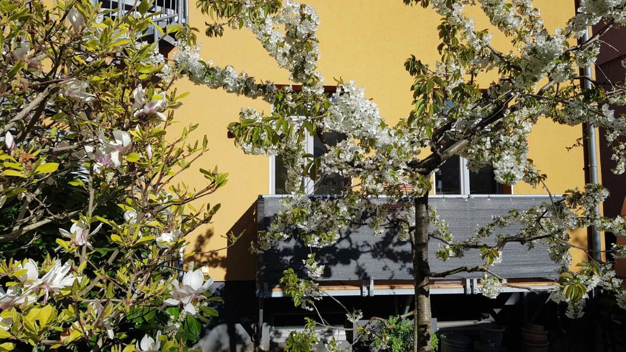 Stilvolle Ferienwohnung Am Stadthafen Schwerin Schwerin  Eksteriør bilde